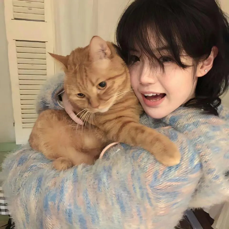 超级飞侠第九季